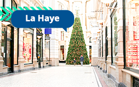 marché de Noël La Haye